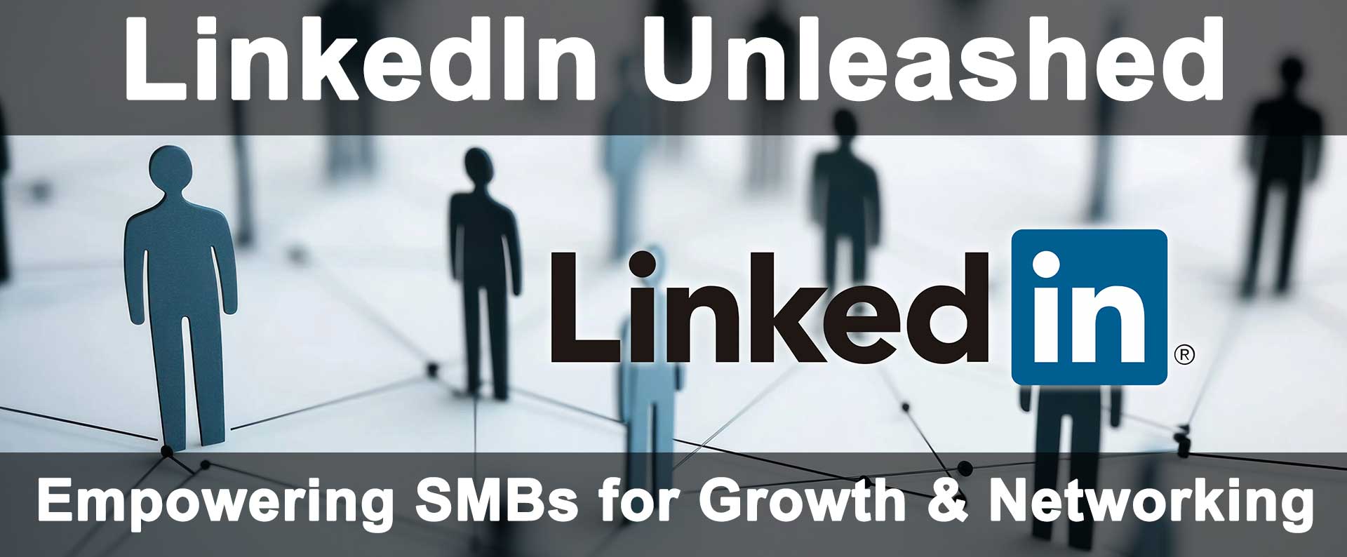 LinkedIn Unleashed - Empowering SMBs for Growth & Networking